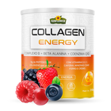 Collagen Energy Colágeno Pré Treino 250g